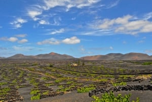 South Tour: Timanfaya National Park