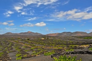 Visita o Sul: Parque Nacional de Timanfaya