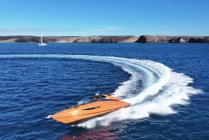 Lanzarote High-Performance Boat: Excursion to Isla de Lobos and Papagayo