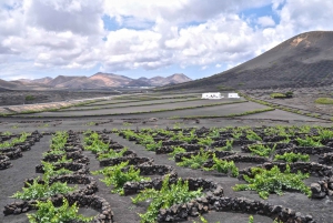 Timanfaya und El Golfo für Kreuzfahrtpassagiere (vormittags)