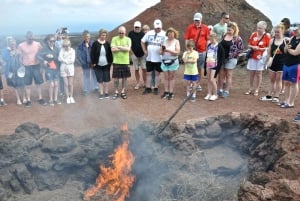 Timanfaya und El Golfo für Kreuzfahrtpassagiere (vormittags)