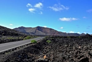 Timanfaya und El Golfo für Kreuzfahrtpassagiere (vormittags)