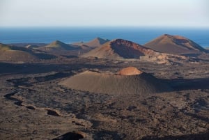 Timanfaya National Park: Evening Tour with Volcano Dinner