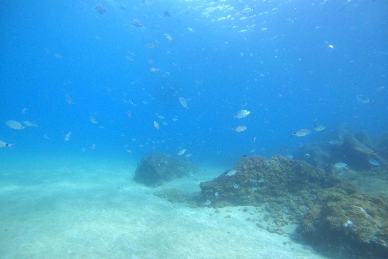 PRØV DYKNING - Oplevelse for begyndere