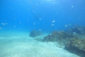 TRY SCUBA - Opplevelse for nybegynnere