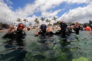 TRY SCUBA - Opplevelse for nybegynnere