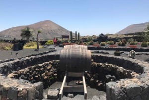 Wine and volcan private tour