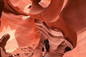 Grand Canyon: Antelope e Horseshoe in 1 giorno con osservazione delle stelle