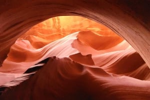 Grand Canyon: Antelope e Horseshoe in 1 giorno con osservazione delle stelle