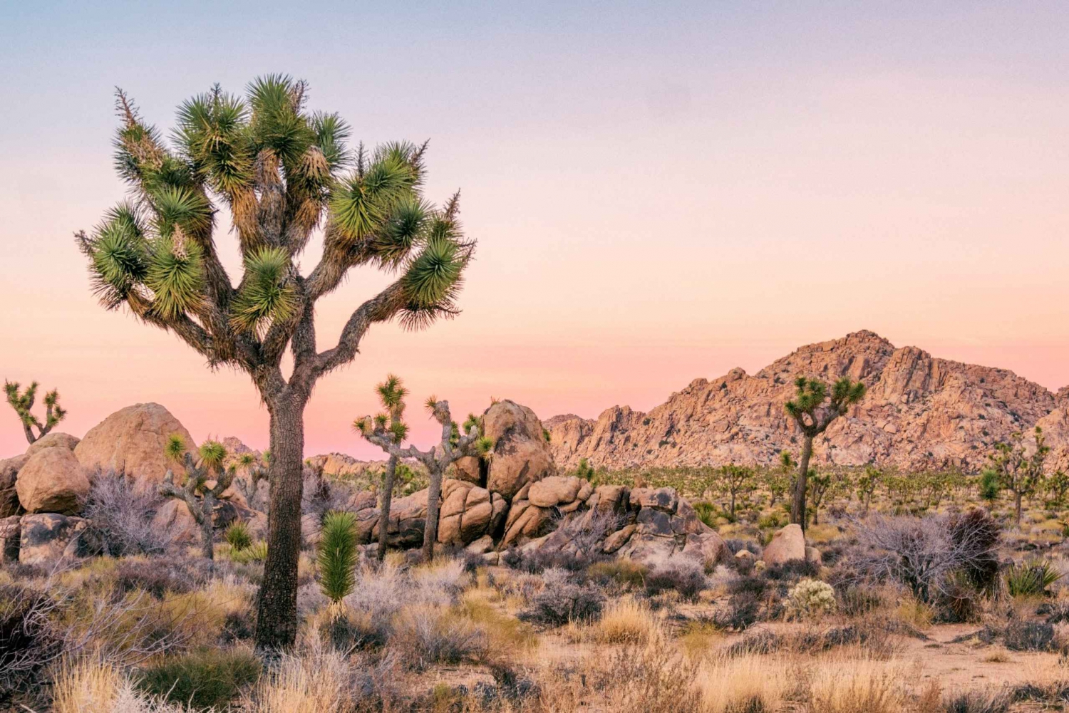 10 Self-Guided Driving Tours from Las Vegas