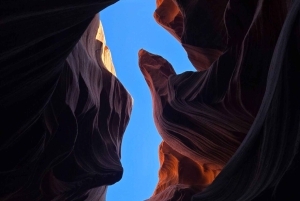 Gran Cañón + Cañón Antelope + Horseshoe Salida diaria