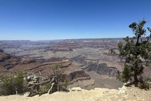 Gran Cañón + Cañón Antelope + Horseshoe Salida diaria
