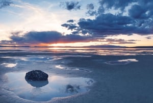 5-Day Tour: LA, Vegas, Antelope Canyon & National Parks