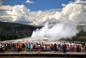 7-dagers tur til Yellowstone nasjonalpark og Rocky Mountains