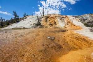 Parque de Yellowstone: 7 días en las Montañas Rocosas