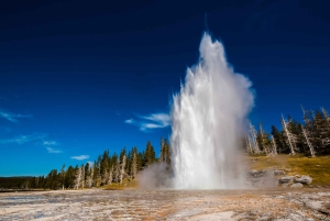 7 jours dans le parc national de Yellowstone Rocky Mountain Explorer