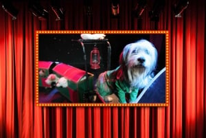 75 minuti di Popovich Comedy Pet Theater a Las Vegas