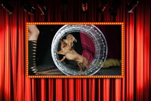 75 minuter lång Popovich-komediteater för husdjur i Las Vegas