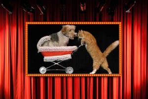 75 minuter lång Popovich-komediteater för husdjur i Las Vegas