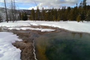 9-tägige Yellowstone-Wintertour mit Süd-Utah und Arizona