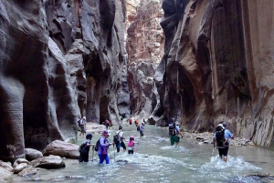 9-daagse winterrondreis door Yellowstone met zuidelijk Utah en Arizona
