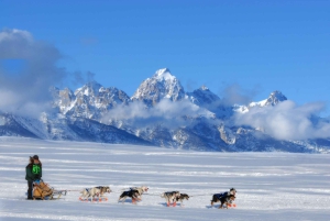 9-daagse winterrondreis door Yellowstone met zuidelijk Utah en Arizona