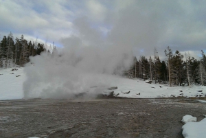 9-daagse winterrondreis door Yellowstone met zuidelijk Utah en Arizona