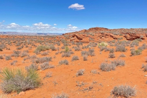 Antelope Canyon och Horseshoe Bend dagsutflykt