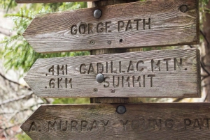 Bar Harbour: Acadia National Park Self-Guided Driving Tour