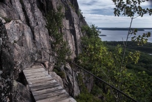Bar Harbour: Acadia National Park Self-Guided Driving Tour