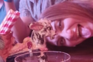 Baarit tuntematon: Las Vegas Stripin baarikierros