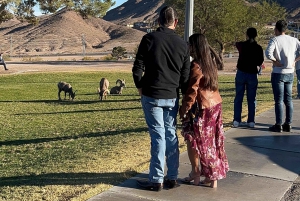 Boulder City: Hemenway Park Opastettu kierros