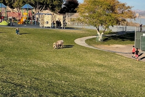 Boulder City: Hemenway Park Opastettu kierros