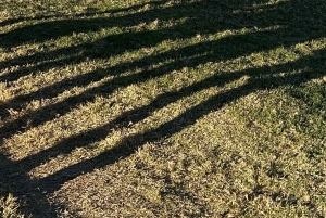 Boulder City: Hemenway Park - wycieczka z przewodnikiem