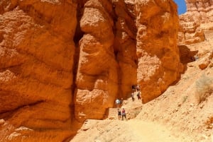 Bryce Canyon e Parque Nacional de Zion: Excursão particular para grupos