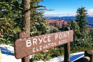 Bryce Canyon & Zionin kansallispuisto: Brynion Park: Yksityinen ryhmämatka: Yksityinen ryhmämatka