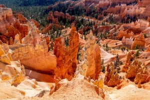 Bryce Canyon & Zion nationalpark: Privat gruppresa
