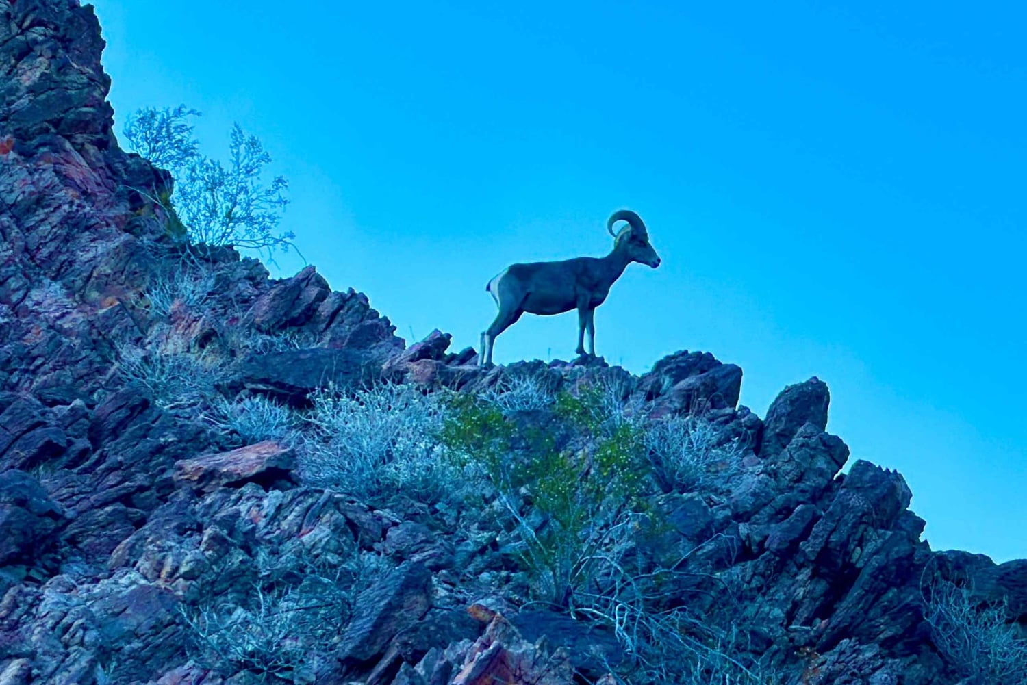 Camping Las Vegas Trip vanaf de voet van de Hoover Dam, Black Canyon