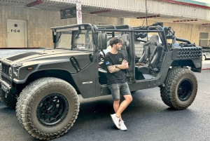 Kombinasjon: Las Vegas Strip, ørken og historietur med Hummer