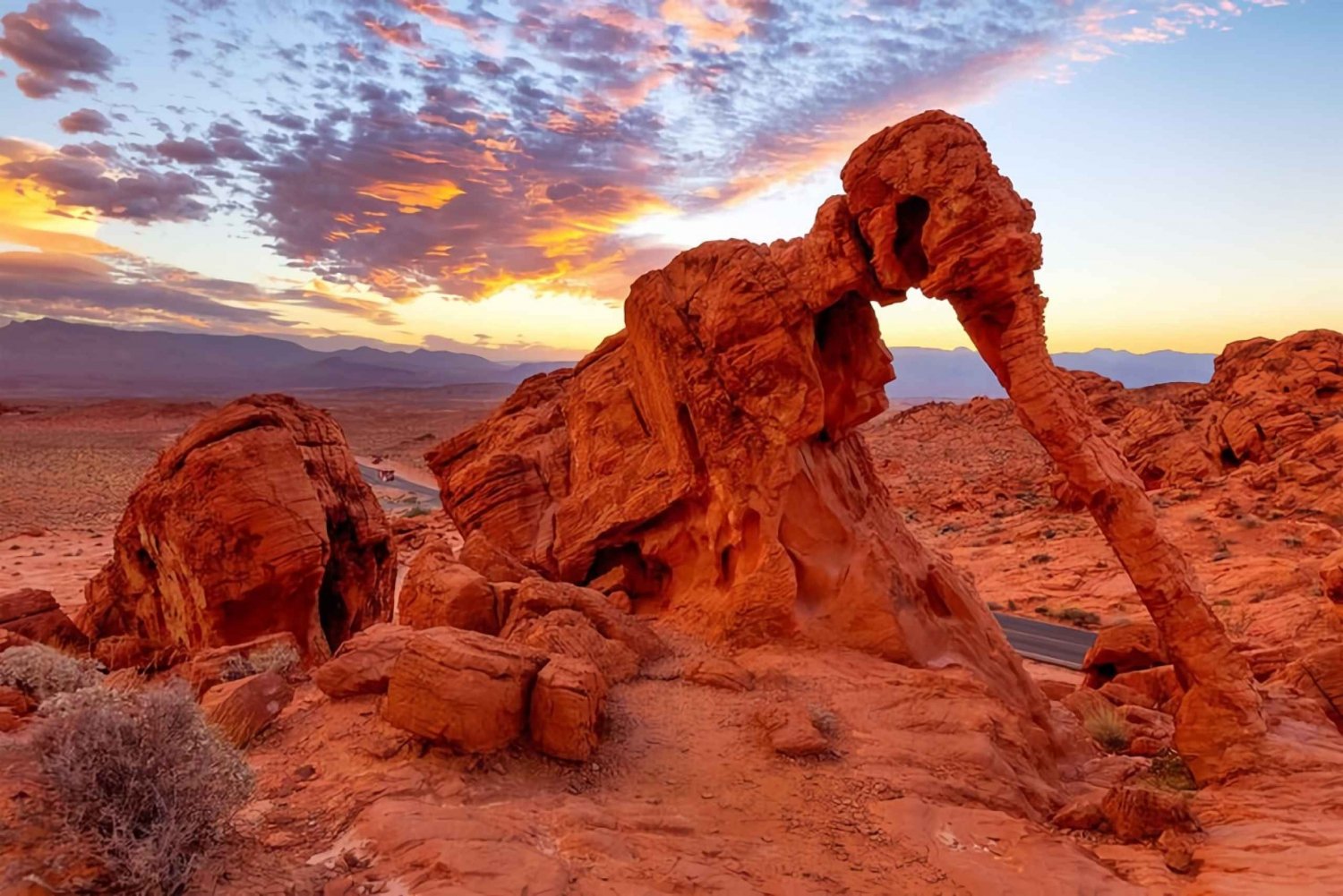 Combo Tour: Valley of Fire & Red Rock Canyon Full-Day Tour