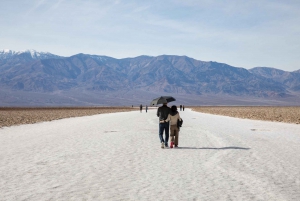 Death Valley en Mojave woestijn VIP tour in kleine groep Las Vegas