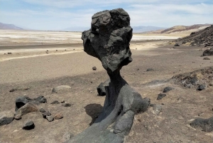 Death Valley: National Park Private Tour with Wine Tasting