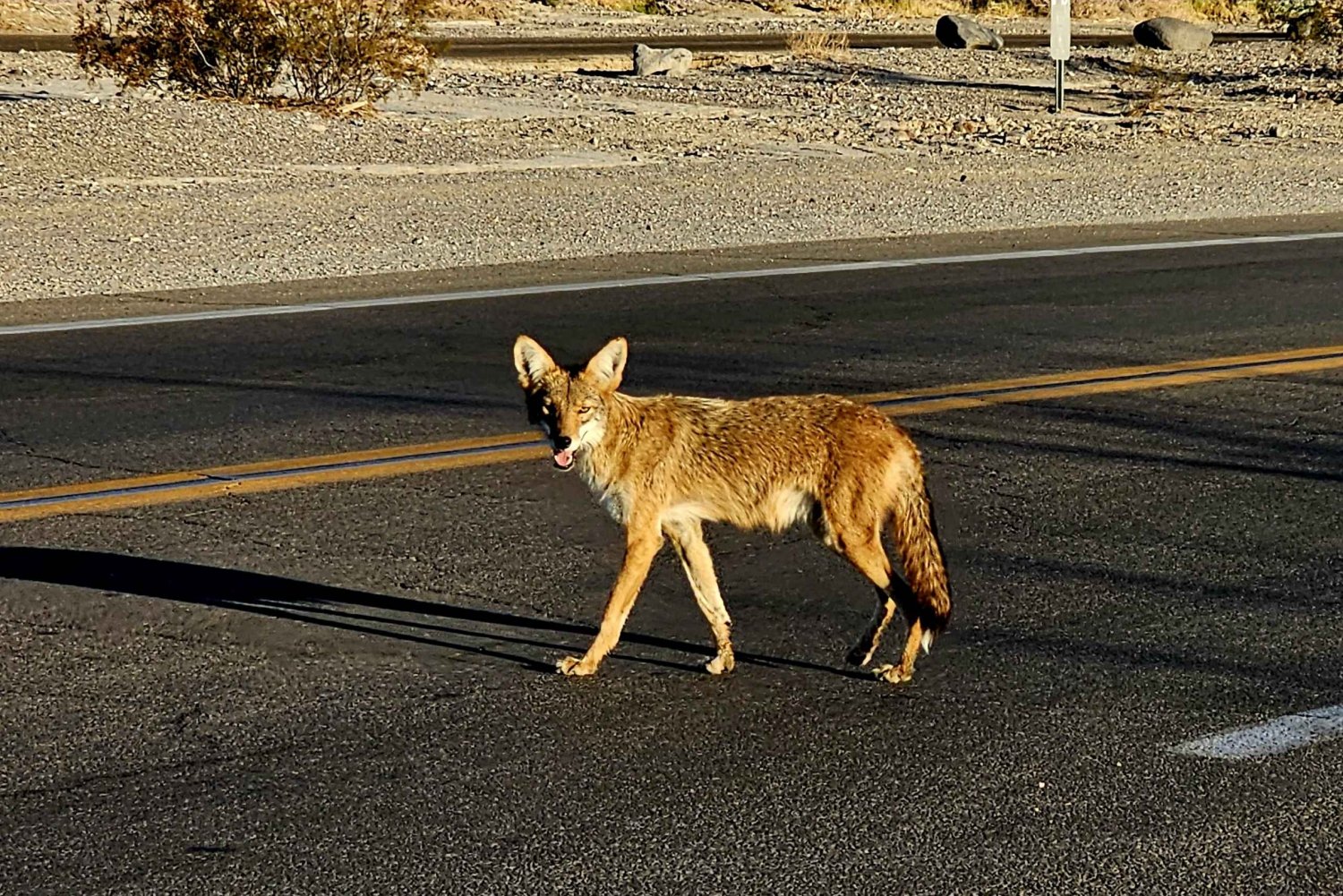 Excursão ao parque nacional do Vale da Morte saindo de Las Vegas