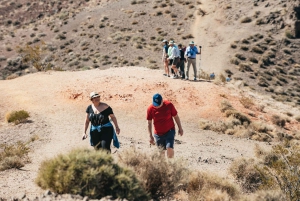 Death Valley NP Hele dag tour in kleine groep vanuit Las Vegas