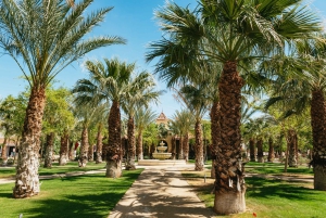 Death Valley NP Hele dag tour in kleine groep vanuit Las Vegas