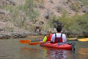 Vanuit Las Vegas: Vier uur durende rondleiding door Emerald Cave met gids en lunch