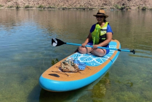 Willow Beach: Verhuur van stand up paddle boards -Emerald cave-.