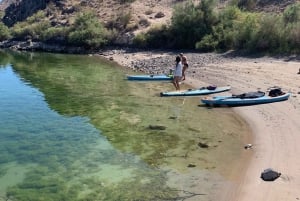 Willow Beach: Stand up paddle board rentals -Emerald cave-