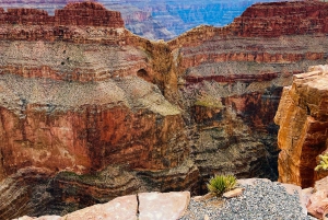 Ausflug zum Grand Canyon auf Spanisch – VIP-Tour