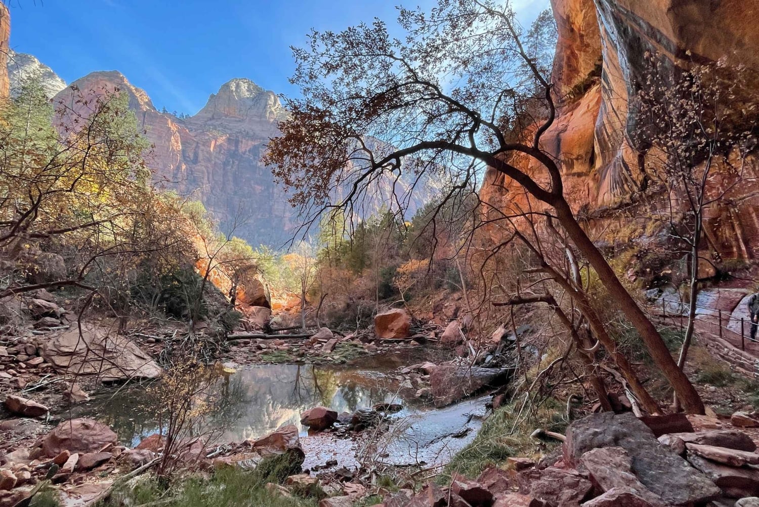 Odkryj Zion: prywatna wycieczka fotograficzna z Las Vegas